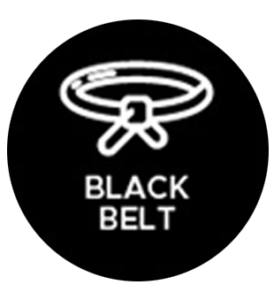 Black Belt Sigma Icon